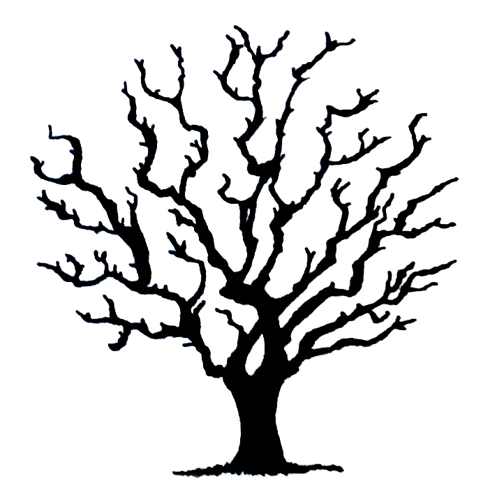 Illustration eines Baumes